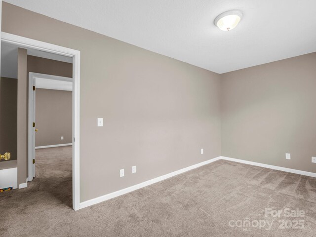 34 Douglas Fir Ave, Arden, NC 28704 - photo 20