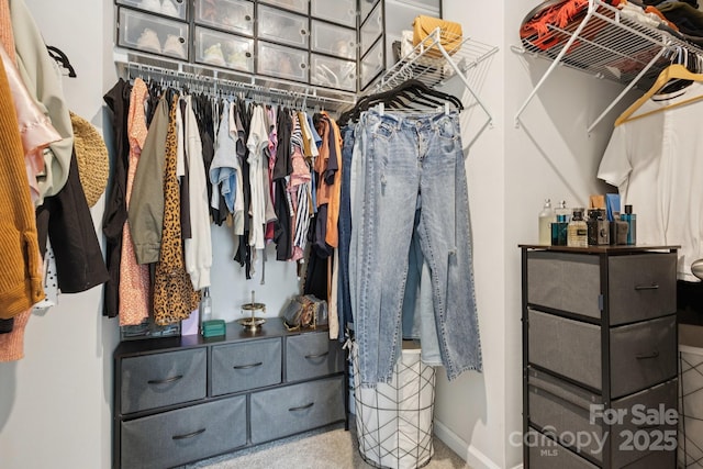 13323 Savaine St, Charlotte, NC 28278 - view of walk in closet