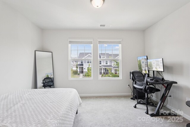 13323 Savaine St, Charlotte, NC 28278 - bedroom with carpet flooring and baseboards