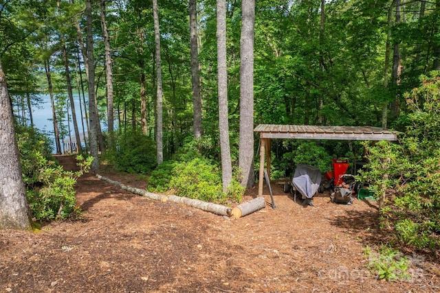 2101 October Dr Unit 150, Nebo, NC 28761 - view of yard featuring a water view