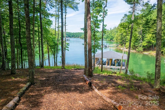 2101 October Dr Unit 150, Nebo, NC 28761 - water view featuring a boat dock and a forest