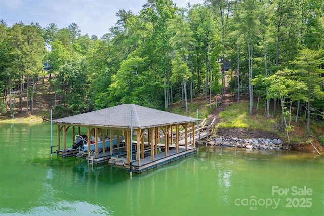 2101 October Dr Unit 150, Nebo, NC 28761 - dock area with boat lift