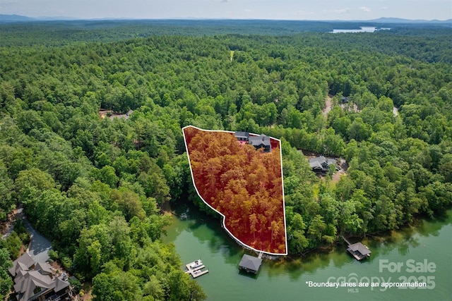 2101 October Dr Unit 150, Nebo, NC 28761 - aerial overview of property's location featuring a forest and property parcel outlined