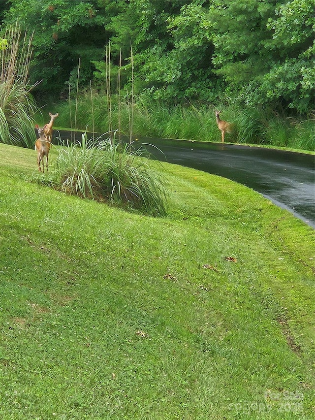 9999 Gabriels Creek Rd Unit 41, Mars Hill, NC 28754