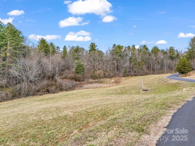 9999 Gabriels Creek Rd Unit 41, Mars Hill, NC 28754