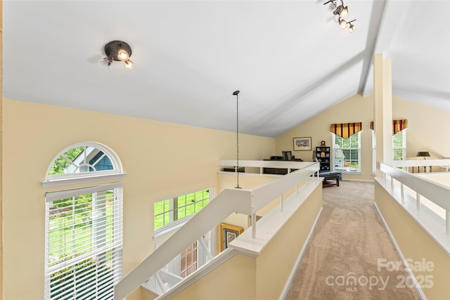13733 Castleford Dr, Mint Hill, NC 28227 - photo 20