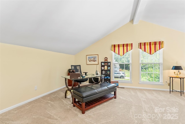 13733 Castleford Dr, Mint Hill, NC 28227 - photo 21