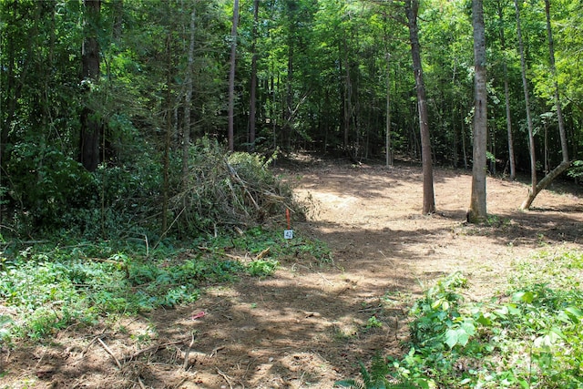 9999 Gabriels Creek Rd Unit 42, Mars Hill, NC 28754