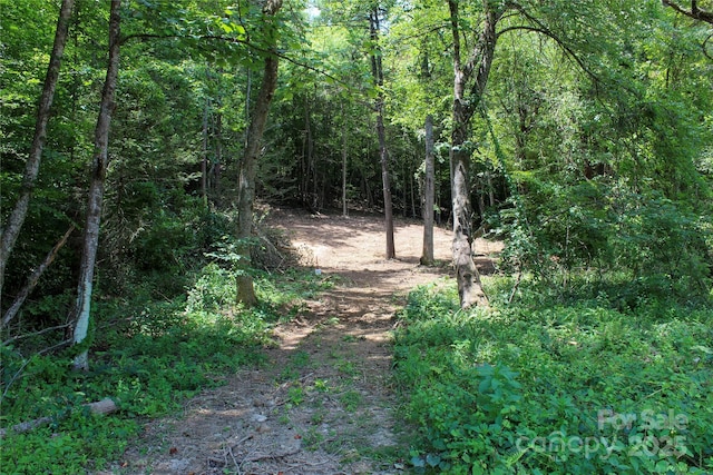 9999 Gabriels Creek Rd Unit 42, Mars Hill, NC 28754