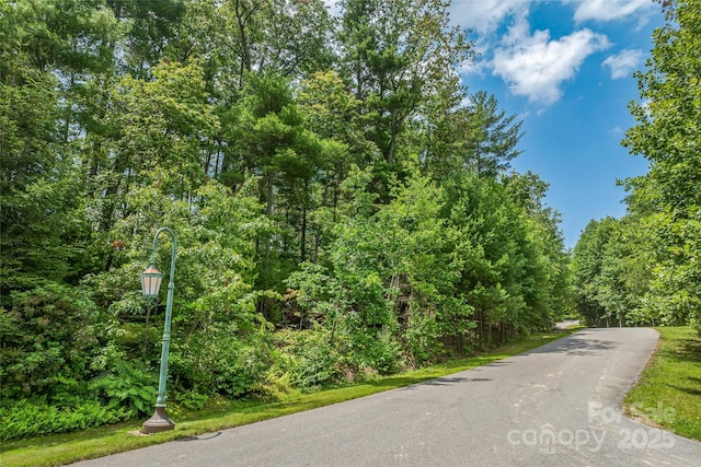99999 Cedar Hill Dr Unit 28, Biltmore Forest, NC 28803 - photo 1