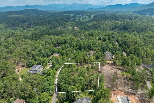 99999 Cedar Hill Dr Unit 28, Biltmore Forest, NC 28803 - photo 3