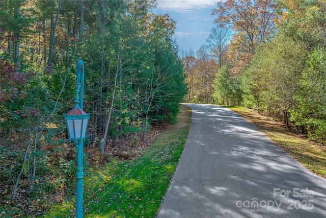 99999 Cedar Hill Dr Unit 28, Biltmore Forest, NC 28803 - photo 8