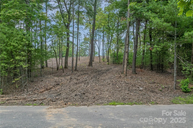 99999 Cedar Hill Dr Unit 28, Biltmore Forest, NC 28803 - photo 9