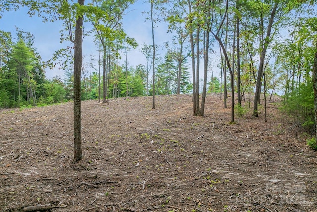 99999 Cedar Hill Dr Unit 28, Biltmore Forest, NC 28803 - photo 10