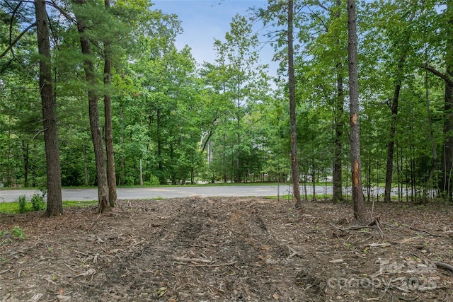 99999 Cedar Hill Dr Unit 28, Biltmore Forest, NC 28803 - photo 11