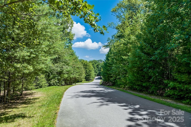 99999 Cedar Hill Dr Unit 28, Biltmore Forest, NC 28803 - photo 12