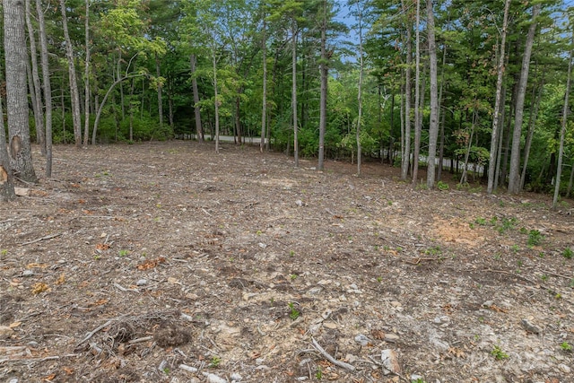 99999 Cedar Hill Dr Unit 28, Biltmore Forest, NC 28803 - photo 13