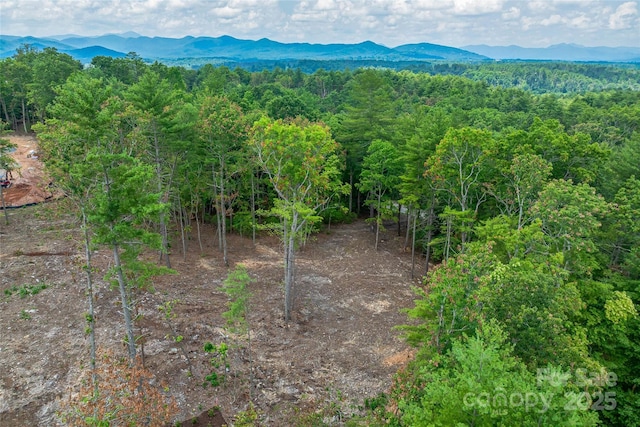 99999 Cedar Hill Dr Unit 28, Biltmore Forest, NC 28803 - photo 14