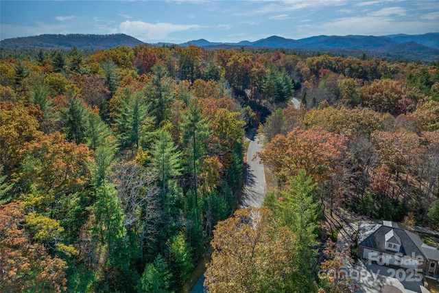 99999 Cedar Hill Dr Unit 28, Biltmore Forest, NC 28803 - photo 16