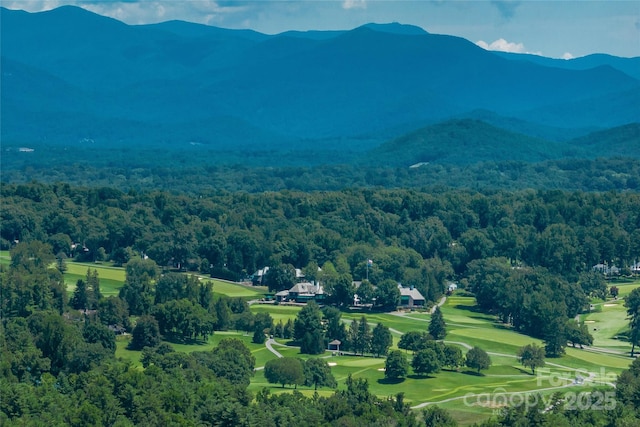 99999 Cedar Hill Dr Unit 28, Biltmore Forest, NC 28803 - photo 19