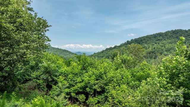 256 Nahum Rd, Moravian Falls, NC 28654 - photo 13