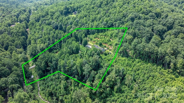 256 Nahum Rd, Moravian Falls, NC 28654 - photo 16
