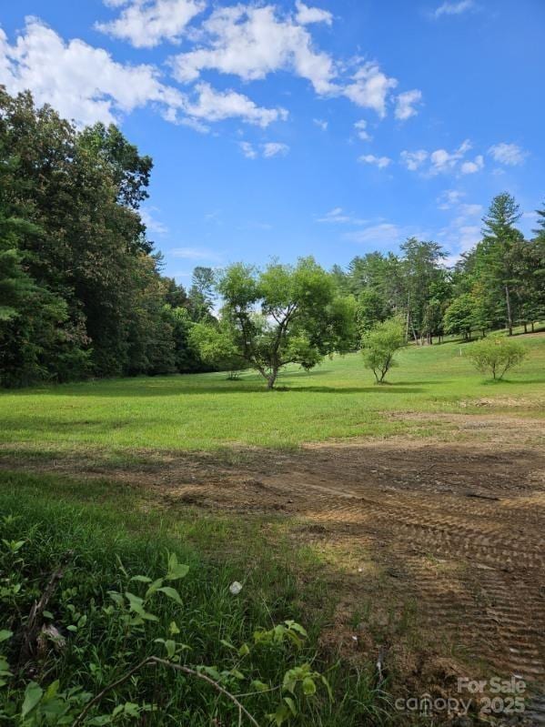 9999 Settlers Trl Unit 53, Mars Hill, NC 28754