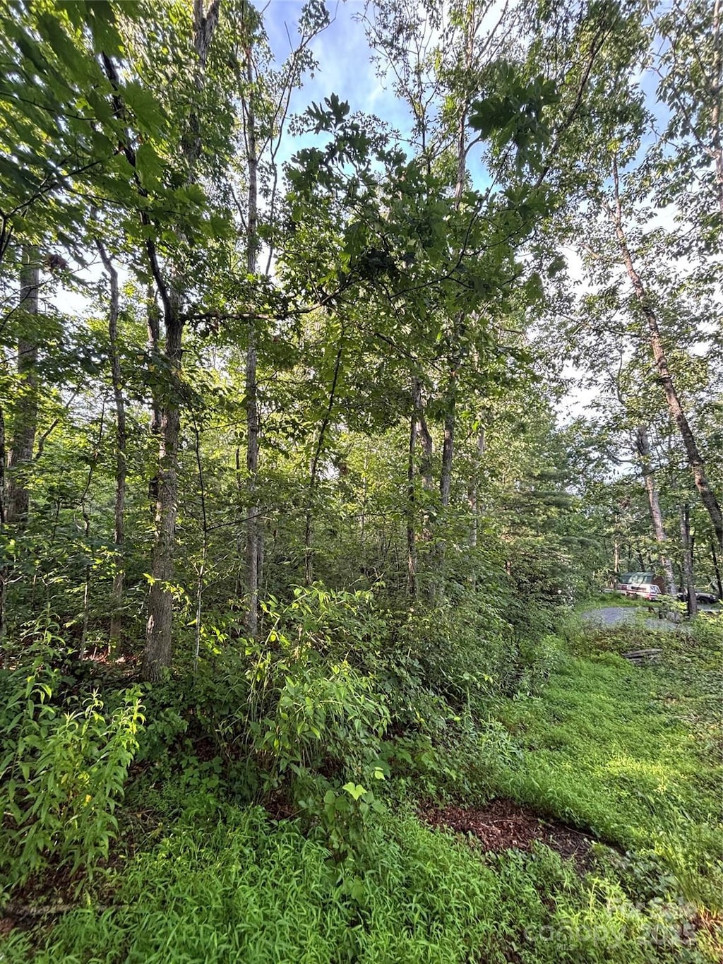9999 Oak Ridge Rd, Hendersonville, NC 28792 - photo 1