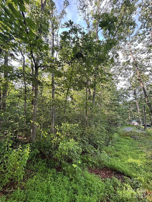 9999 Oak Ridge Rd, Hendersonville, NC 28792 - photo 1