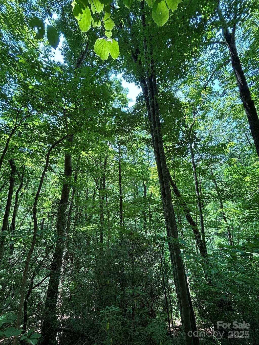 9999 Oak Ridge Rd, Hendersonville, NC 28792 - photo 2