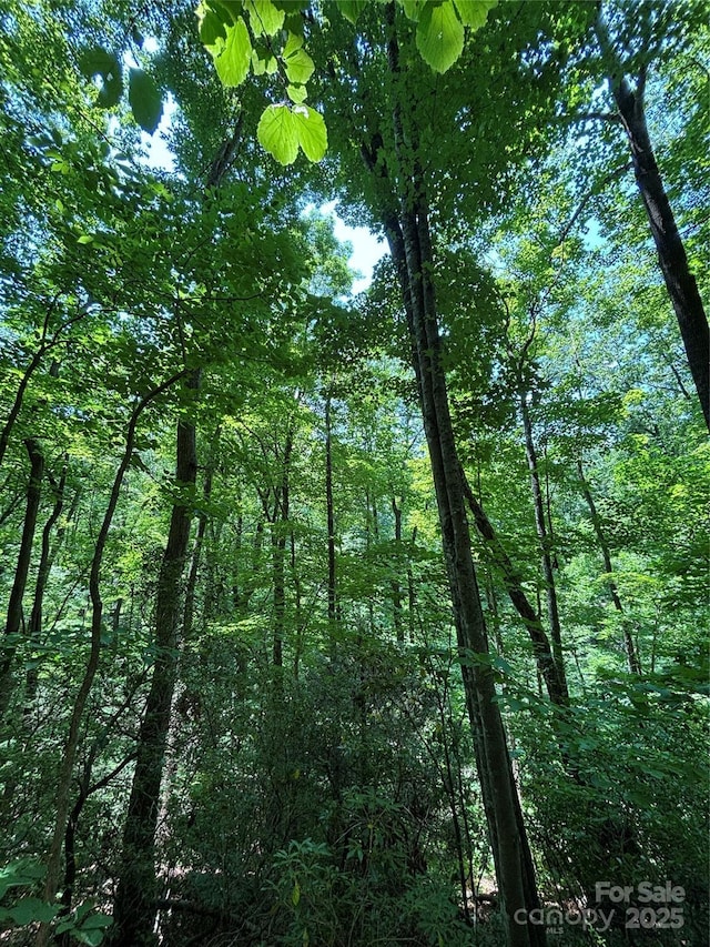 9999 Oak Ridge Rd, Hendersonville, NC 28792 - photo 2