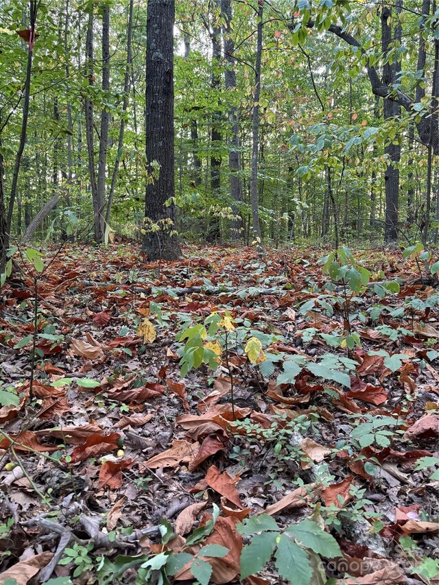 9999 Oak Ridge Rd, Hendersonville, NC 28792 - photo 3