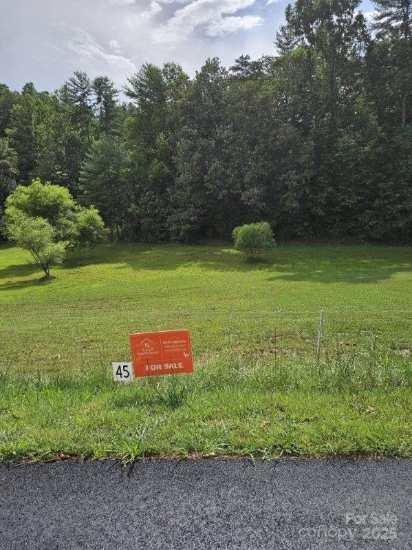 9999 Settlers Trl Unit 45, Mars Hill, NC 28754