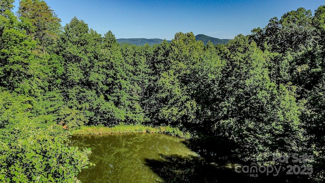 2416 Cane Creek Rd, Rutherfordton, NC 28139 - photo 2