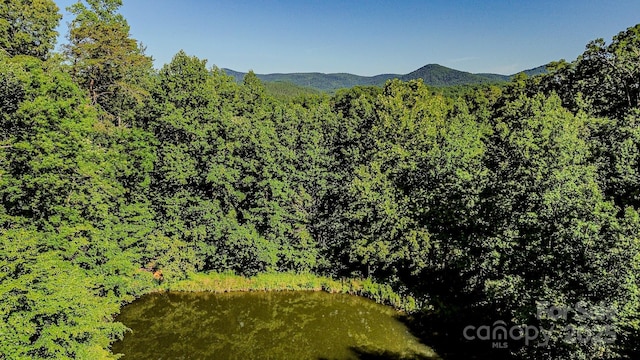 2416 Cane Creek Rd, Rutherfordton, NC 28139 - photo 3
