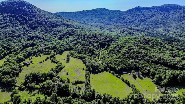 2416 Cane Creek Rd, Rutherfordton, NC 28139 - photo 40