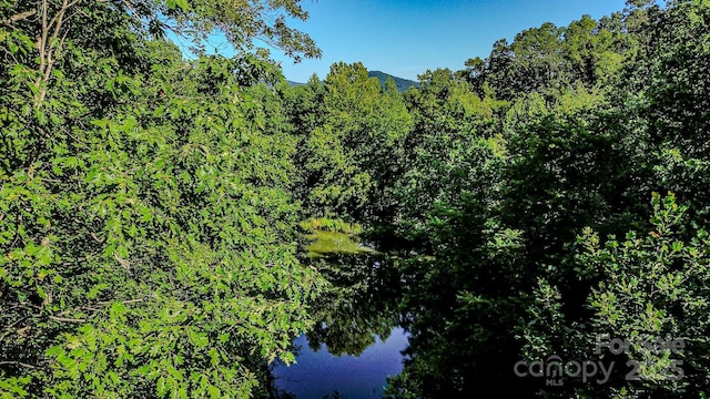 2416 Cane Creek Rd, Rutherfordton, NC 28139 - photo 30