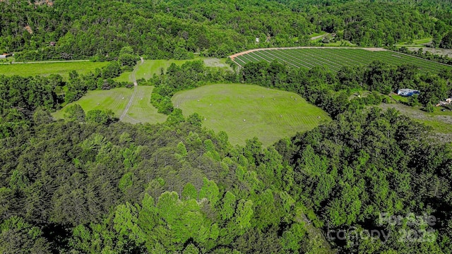 2416 Cane Creek Rd, Rutherfordton, NC 28139 - photo 32