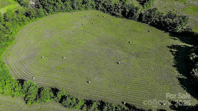 2416 Cane Creek Rd, Rutherfordton, NC 28139 - photo 34
