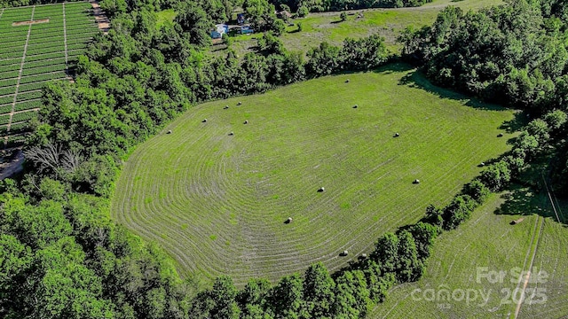 2416 Cane Creek Rd, Rutherfordton, NC 28139 - photo 35