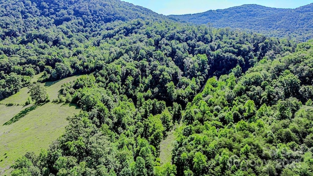 2416 Cane Creek Rd, Rutherfordton, NC 28139 - photo 37