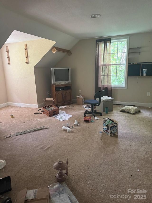 423 Crocus Ln, Sylva, NC 28779 - unfurnished living room with carpet flooring and lofted ceiling