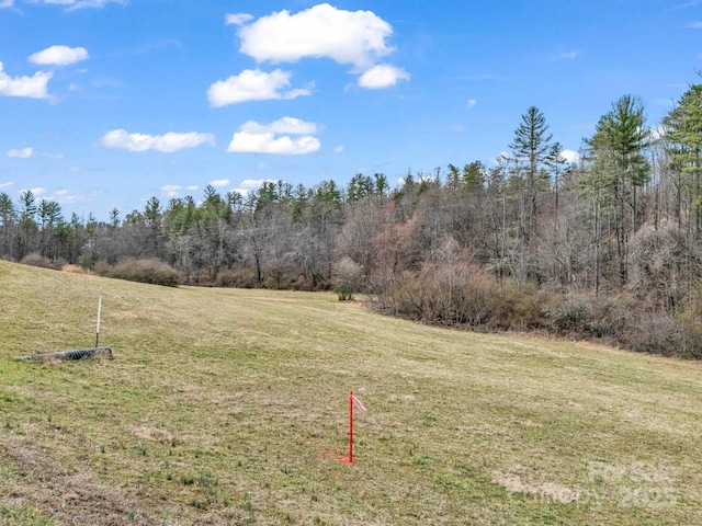 9999 Settlers Trl Unit 46, Mars Hill, NC 28754