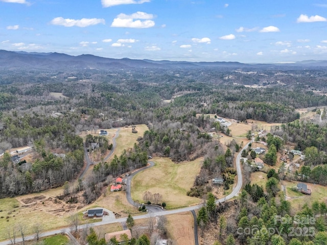 9999 Settlers Trl Unit 46, Mars Hill, NC 28754