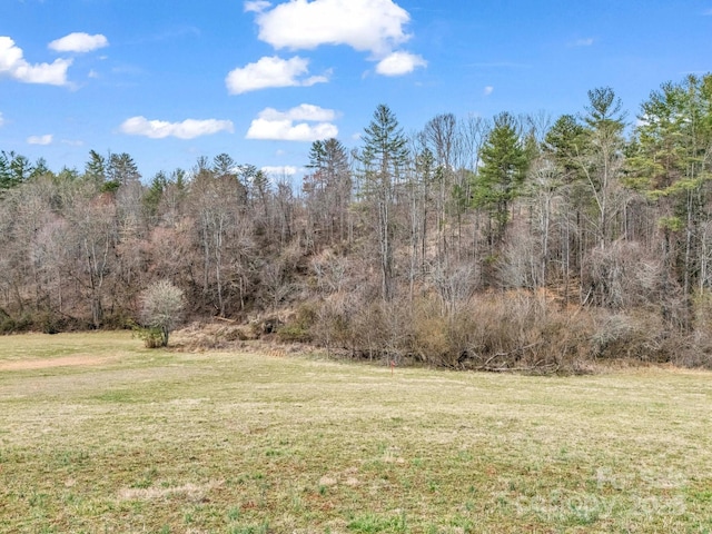 9999 Settlers Trl Unit 48, Mars Hill, NC 28754