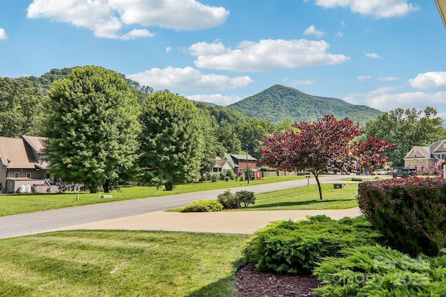 8 Amos Ct, Maggie Valley, NC 28751 - view of mountain background