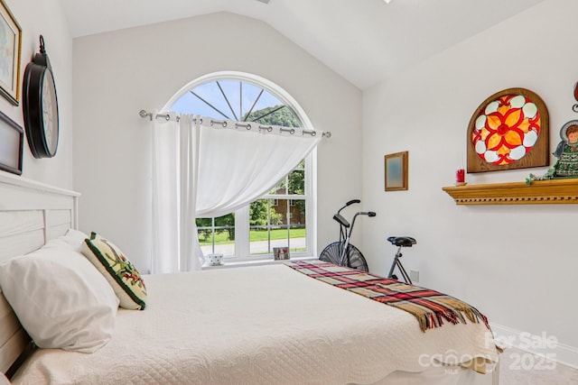 8 Amos Ct, Maggie Valley, NC 28751 - bedroom featuring multiple windows and vaulted ceiling