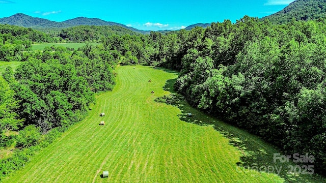 0 Cane Creek Rd, Rutherfordton, NC 28139 - photo 1