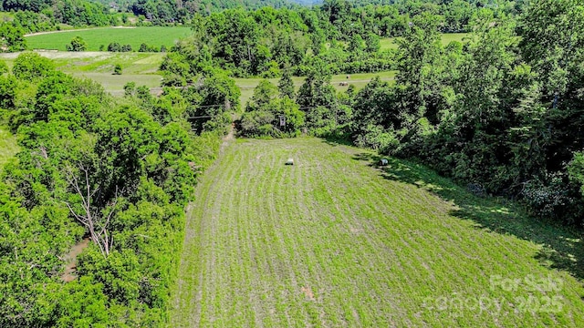 0 Cane Creek Rd, Rutherfordton, NC 28139 - photo 2