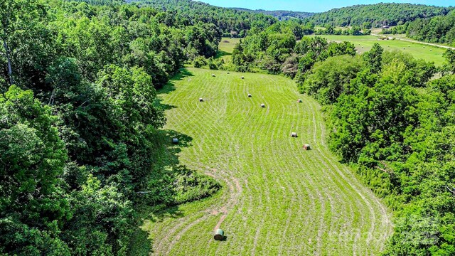 0 Cane Creek Rd, Rutherfordton, NC 28139 - photo 3
